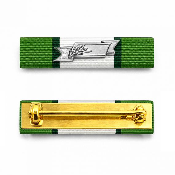 Military ribbon rank bar with silver metal charm on top
