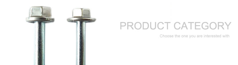 Viti con cappuccio in acciaio inossidabile SUS304