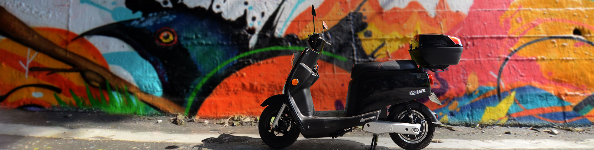 Thưởng thức Có một chuyến đi