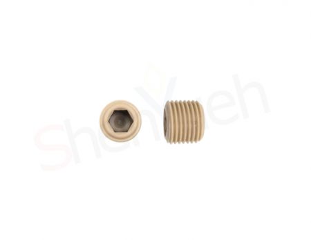 Plastic Screw Plug - The PEEK-PT Socket Head Cap Screw Plug made by Shen-Yueh can be used at a maximum continuous temperature of 260°C.