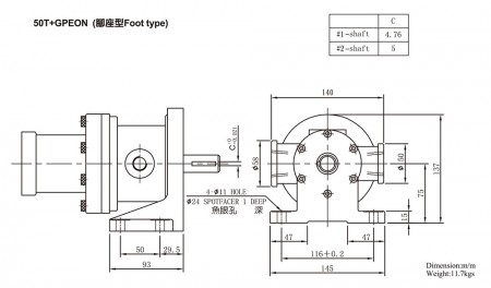 50T+GPEON(フットタイプ)