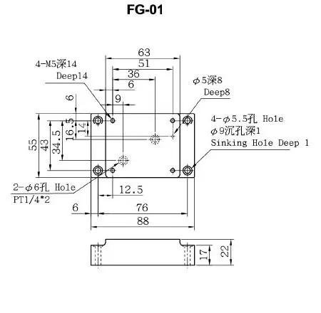 FG-01