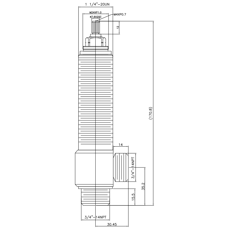 3/4 Tiga Perempat Inci SV201 Tipe Badan Samping 1-1/4"-20UN Benang Badan 3/4"-14NPT Masukan 3/4"-14NPT Keluaran Katup Kasar Widespread