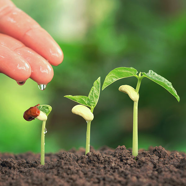 Environmental Protection