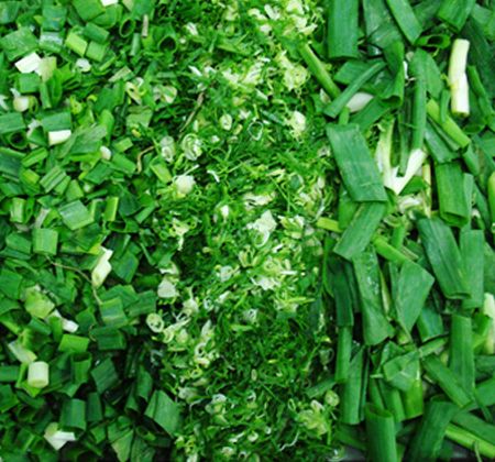 Cutting - ANKO Cutting Machine