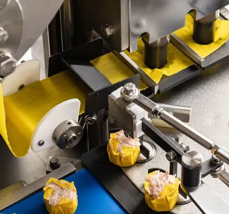 ANKO Filling / Forming Machine