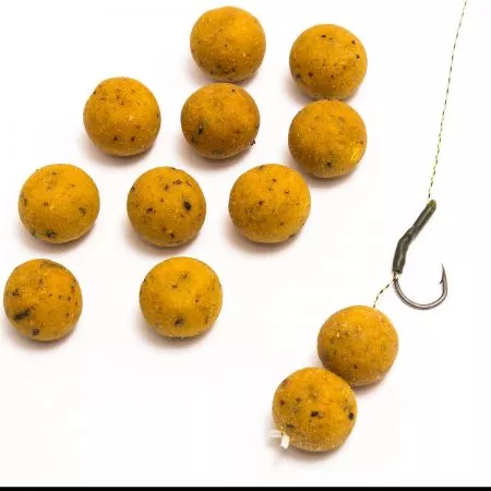 Fish Bait / Boilies production planning proposal and equipment
