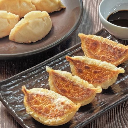Gyoza production planning proposal and equipment