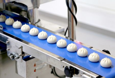 Equipo de producción automática de dumplings de sopa diseñado para resolver la capacidad insuficiente y la calidad del producto