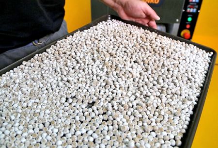 Desarrollo de receta de perlas de tapioca listas para comer para una empresa taiwanesa
