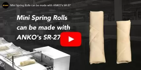 Návrh plánování výroby Spring Roll a vybavení