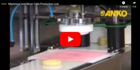 ANKO-Automatic Stamping Machin