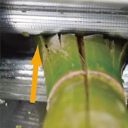 Rodillo sólido más fuerte.