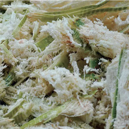 Motor silencioso pero potente.