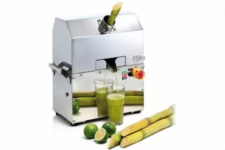 Machine à jus de canne à sucre CP300 pour comptoir