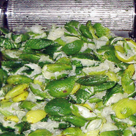 Suitable for any sizes of citrus fruits (orange, lemon, kumquat, and grapefruit).