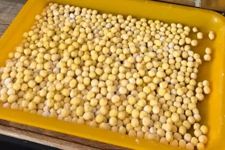 Bubuk Boba - Grosir Bola Tapioka, Mutiara Boba, Mutiara Tapioka, Boba Tapioka, Pemasok Boba, Grosir Boba, Boba Tapioka, Pemasok Bola Tapioka, Grosir Mutiara Tapioka