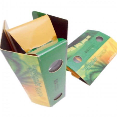 3배율 골판지 스포츠 쌍안경