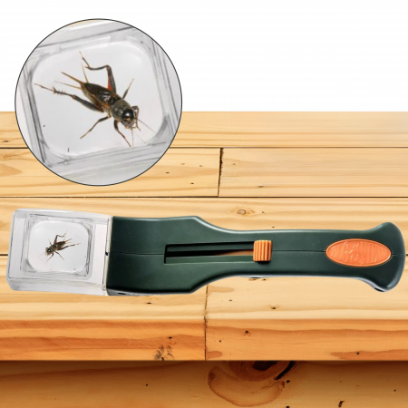 捕捉昆蟲放大鏡 昆蟲觀察工具 戶外生物實驗放大鏡 昆蟲放大鏡 生物觀察放大鏡 兒童昆蟲放大鏡 昆蟲捕捉 昆蟲觀察盒放大鏡 自然觀察放大鏡 教學昆蟲放大鏡安全不傷蟲,自然課、戶外觀察好幫手