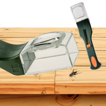 觀察昆蟲放大鏡設計簡便且安全,能輕鬆捕捉昆蟲和蜘蛛,避免直接接觸並減少對生物的傷害。