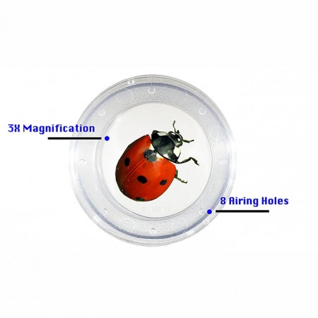 Clear magnifying bug viewer box