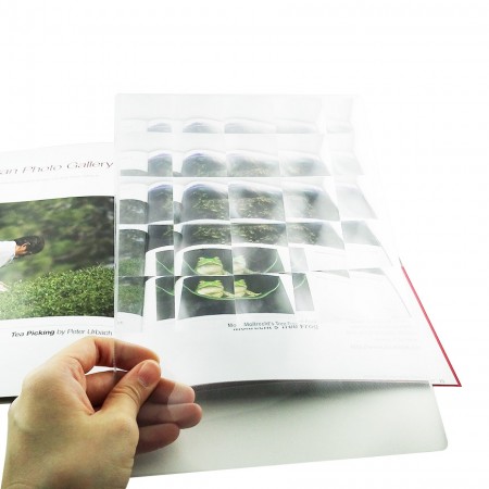 Multi-Image Fresnel Lens Sheet Magnifier