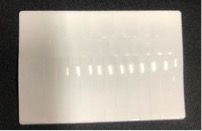 PIR Sensor Lens 69x50 mm