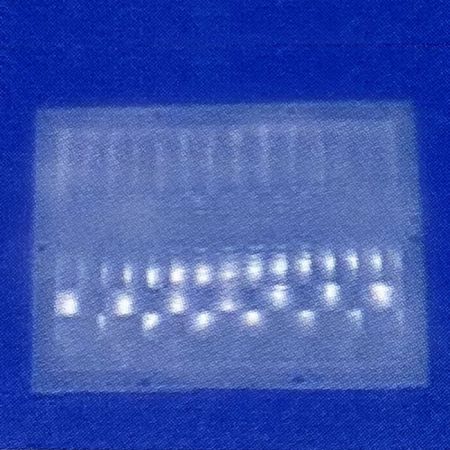 PIR Sensor Lens 60.7x42.4 mm