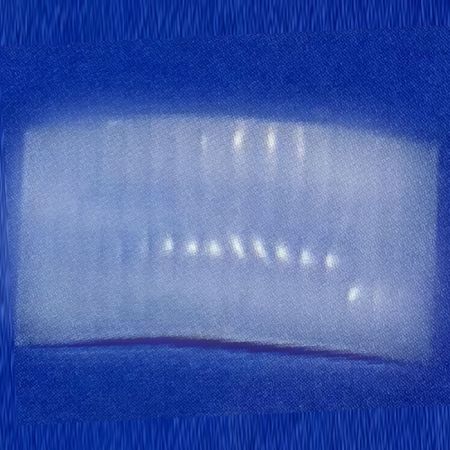 PIR Sensor Lens 73.7x26.2 mm