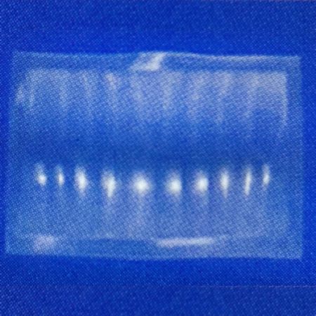 PIR Sensor Lens 53.5x34 mm