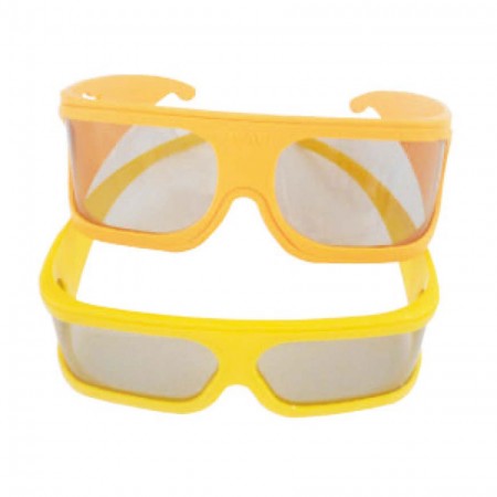 Plastic Linear Polarized Glasses