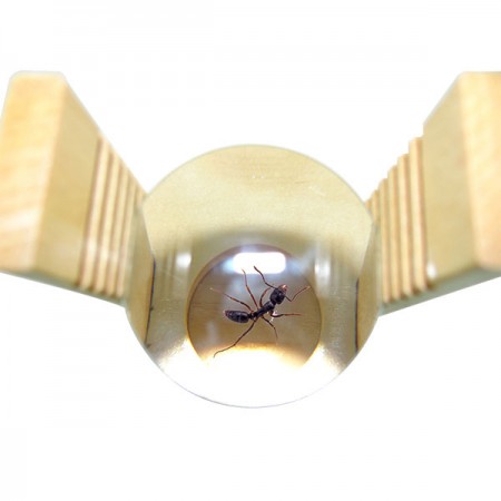 Bug viewer magnifier on stand