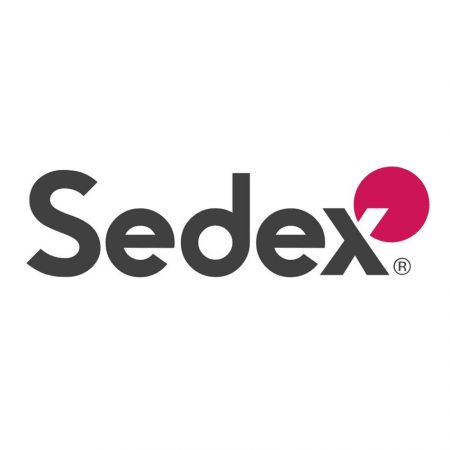 Sedex 4-Søjle Audit Rapport