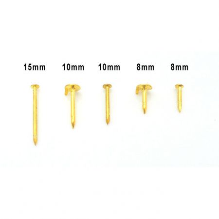 Different sizes of nails / spur nails