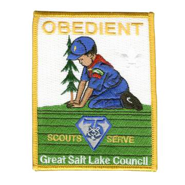 Cub Scout Patches