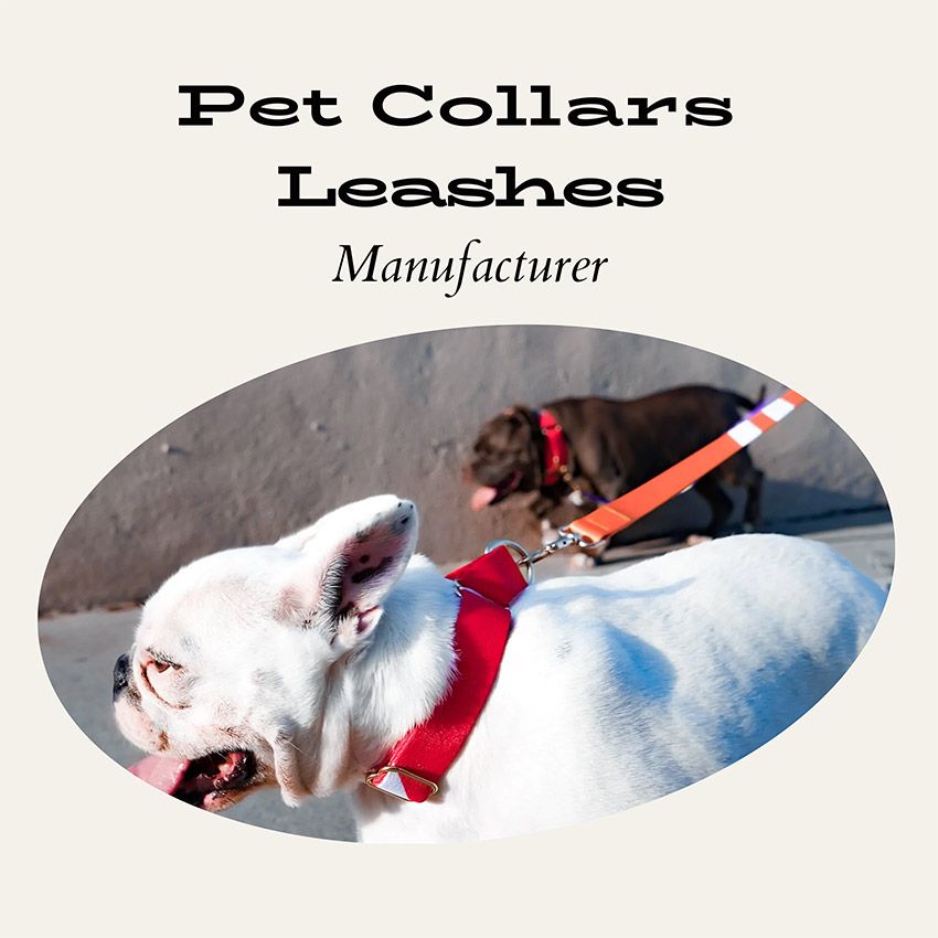 Custom collar and leash