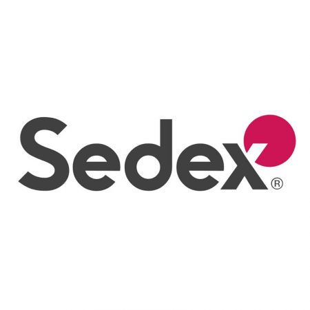 Rapporto di audit Sedex a 4 pilastri