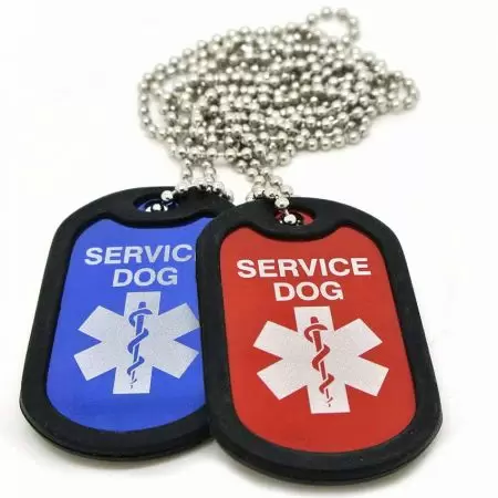 Personalized Dog Tags with Silencer - Personalized Dog Tags with Silencer