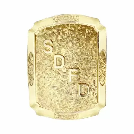 골드로 된 SDFD 벨트 버클