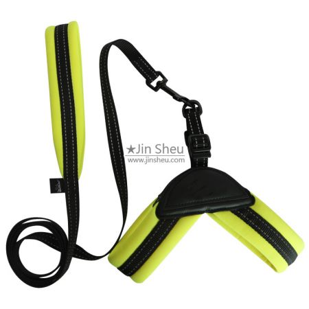 dog safe harness with leash