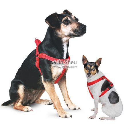 Imbracatura pettorale per cani