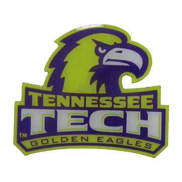 커스텀 핀 인쇄