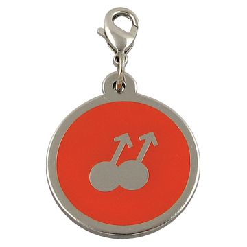 Thiết kế thẻ nhận dạng chó