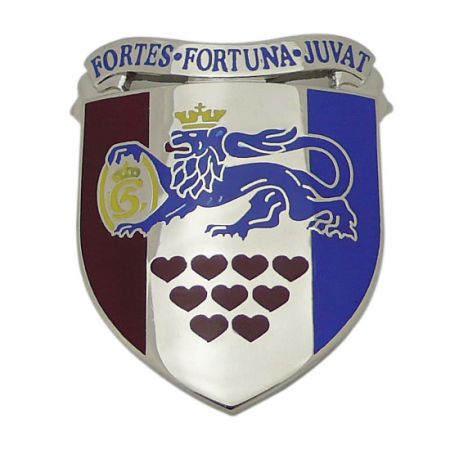 Sterling Silber Schild-Anstecknadel