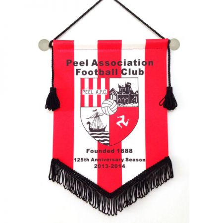 Custom College Sports Pennants