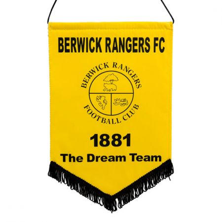 ブランド化されたカスタムロゴペナント