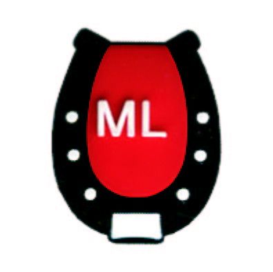 Fornitore di ciondoli per scarpe in PVC