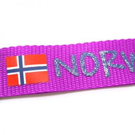 ストラップとリングホルダー付きの卸売りカラビナ