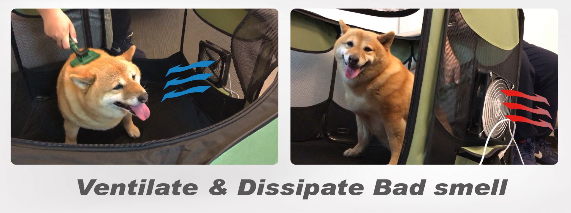 تسريع تداول الهواء لمساعدة حيوانك الأليف على التهوية وتبديد الروائح.