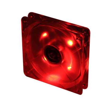 :Challenge red- It is a color full of charming and fluorescent. There is so attractive that lead you make a challenge travel with him.